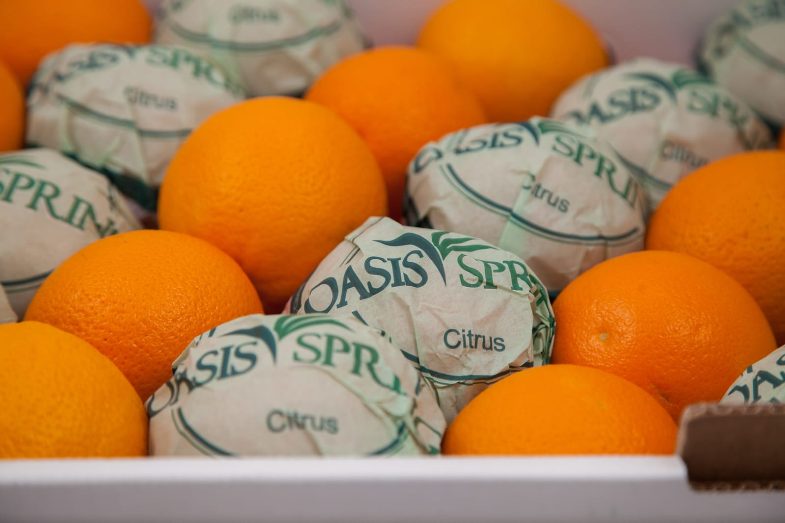 برتقال معبأ بأوراق تغليف تحمل علامة Oasis Spring