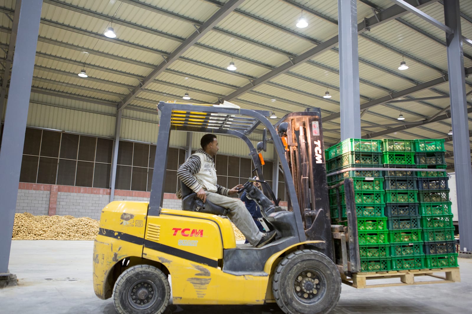 Forklift moving crates of potatoes inside a Dakahlia warehouse