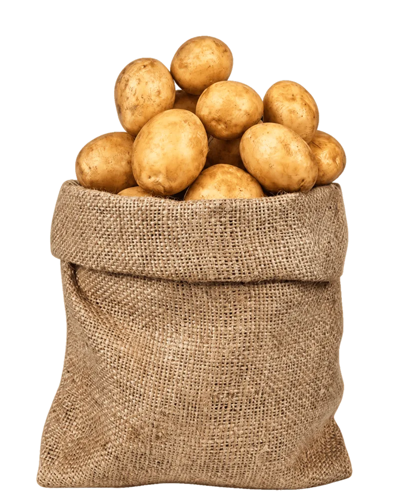 A full burlap sack of potatoes