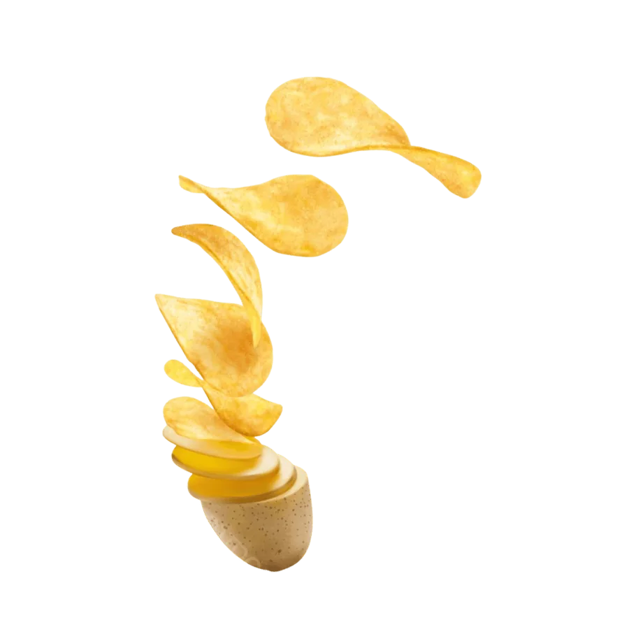 Golden potato chips — the finished product